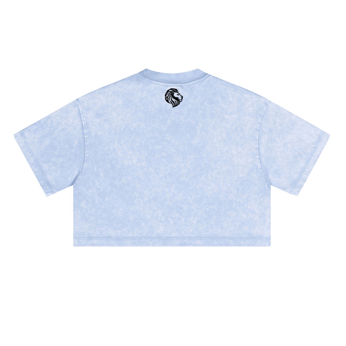 Heavyweight Washed Loose-Fit Cropped Crewneck T-Shirt - The One PR
