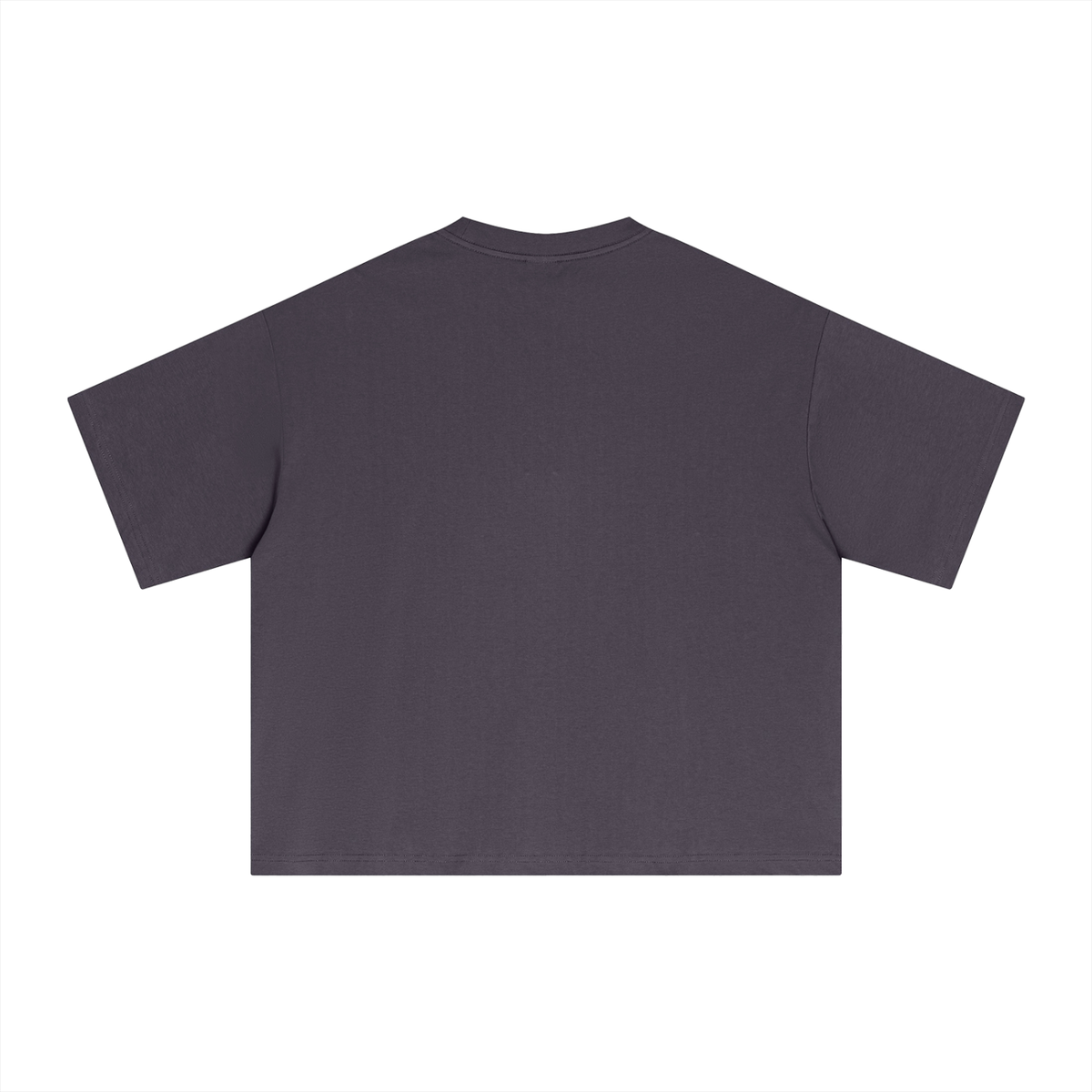The One Camiseta Esencial