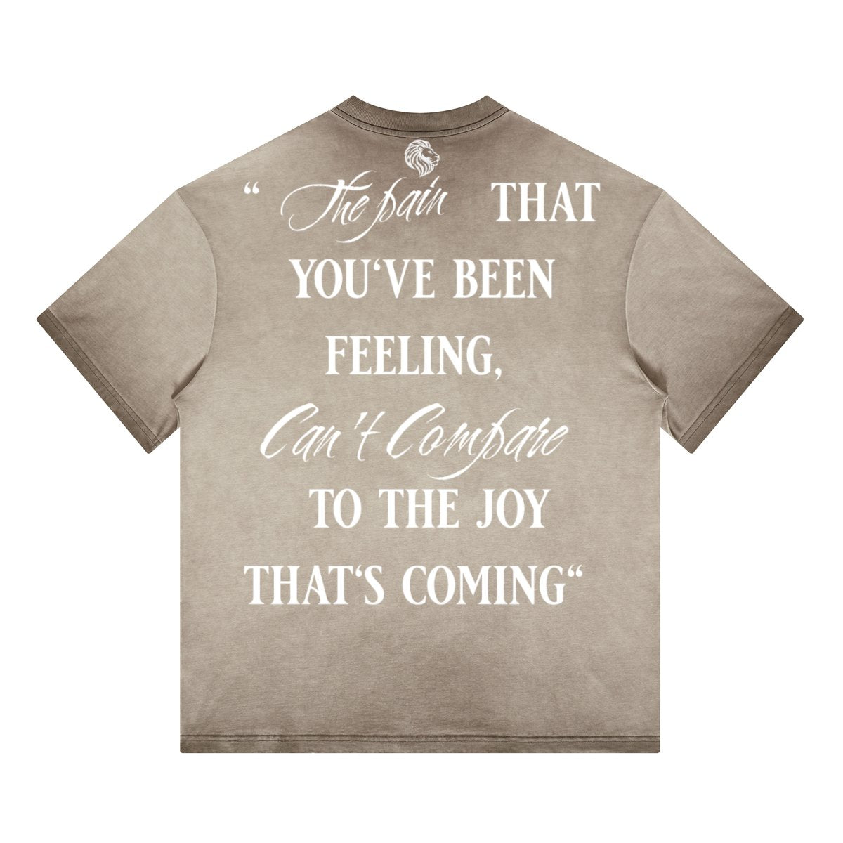 Havenly Heavyweight Washed Gradient Stir Fried T-shirt - The One PR