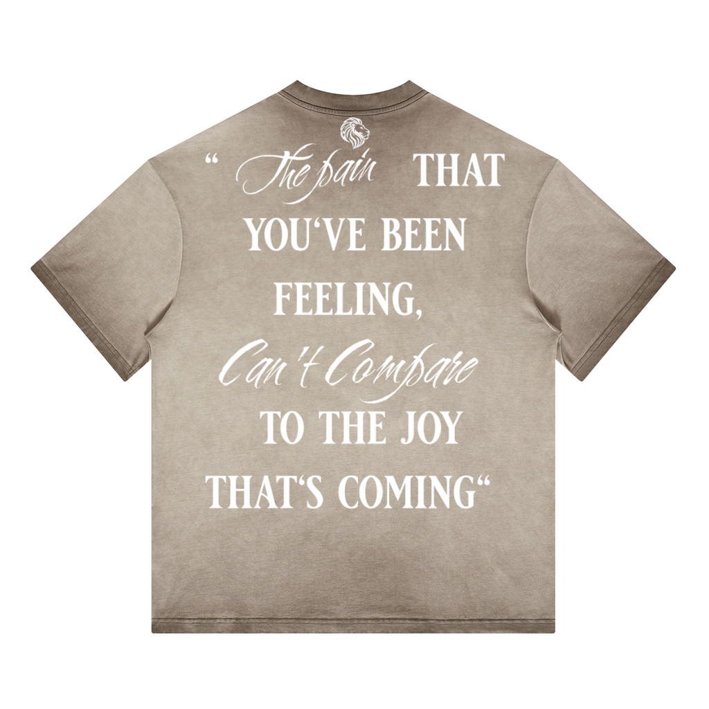 Havenly Heavyweight Washed Gradient Stir Fried T-shirt