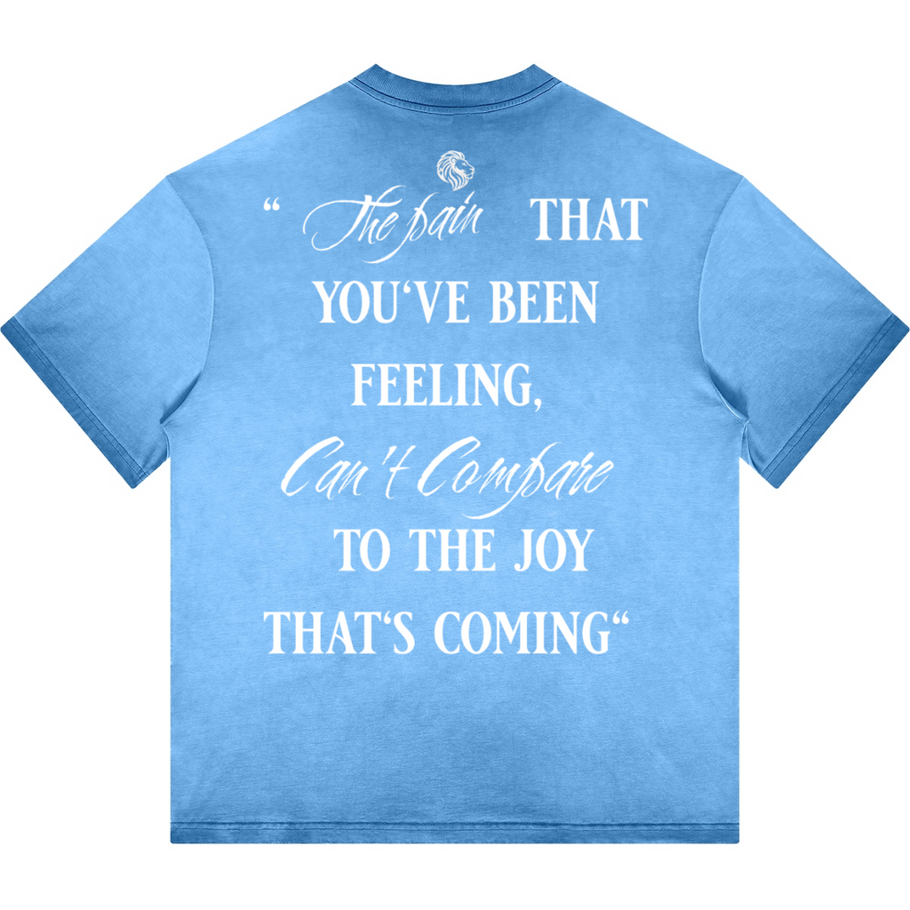 Havenly Heavyweight Washed Gradient Stir Fried T-shirt