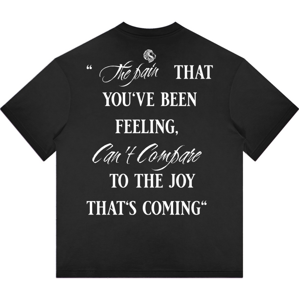 Havenly Heavyweight Washed Gradient Stir Fried T-shirt