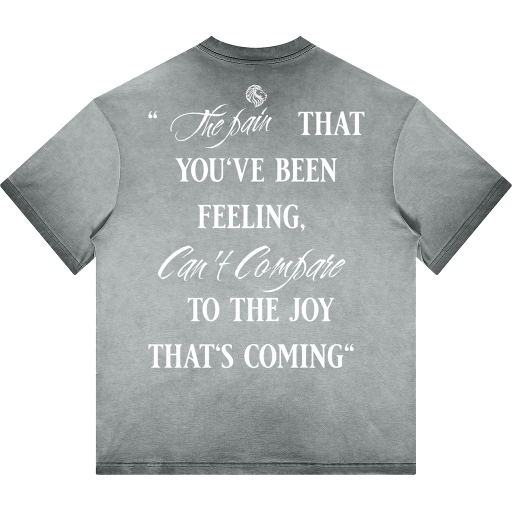 Havenly Heavyweight Washed Gradient Stir Fried T-shirt