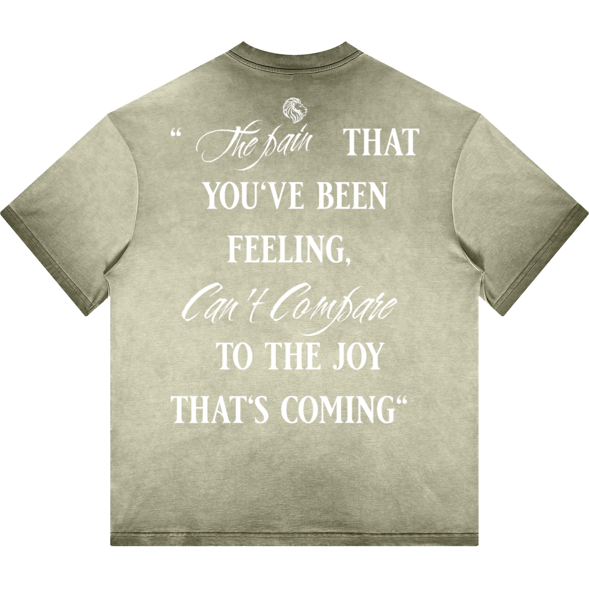 Havenly Heavyweight Washed Gradient Stir Fried T-shirt