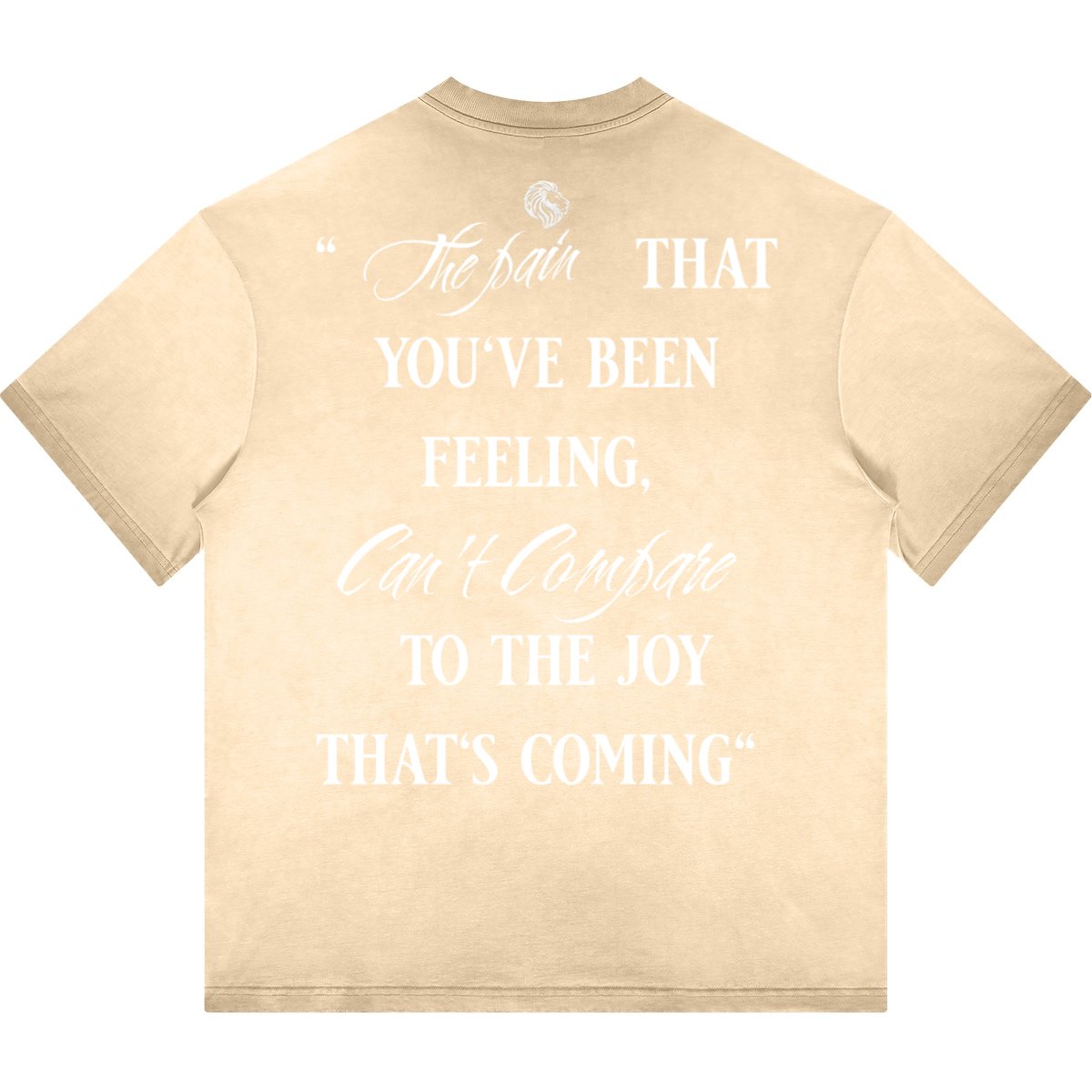 Havenly Heavyweight Washed Gradient Stir Fried T-shirt - The One PR