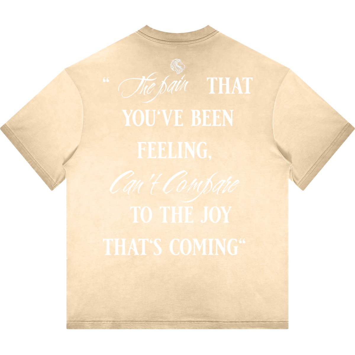 Havenly Heavyweight Washed Gradient Stir Fried T-shirt