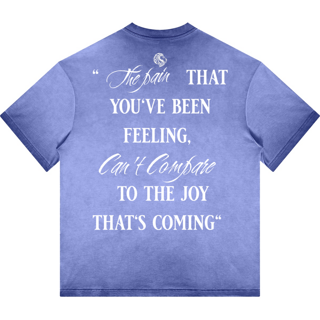 Havenly Heavyweight Washed Gradient Stir Fried T-shirt