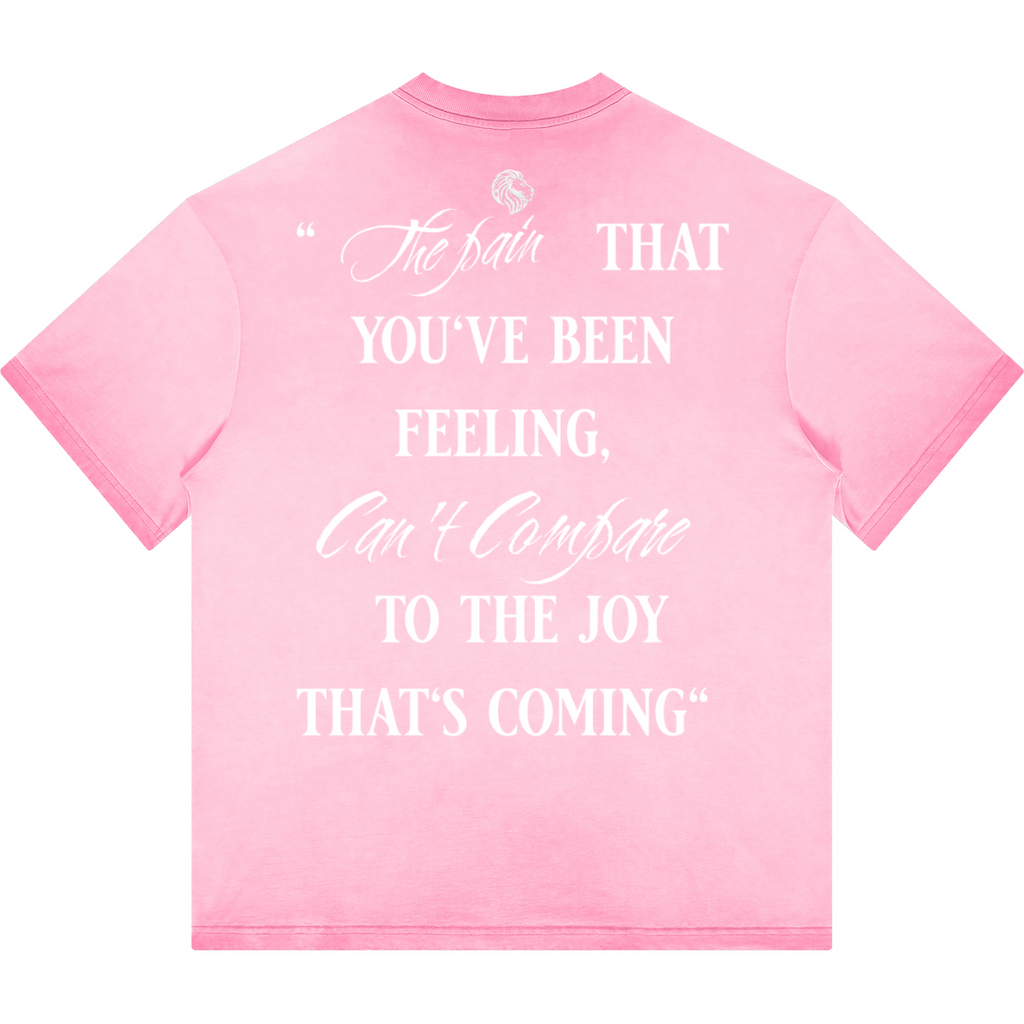 Havenly Heavyweight Washed Gradient Stir Fried T-shirt