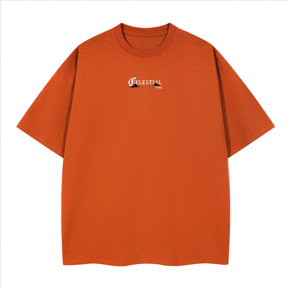Celestial Heavyweight Boxy T-Shirt - The One PR
