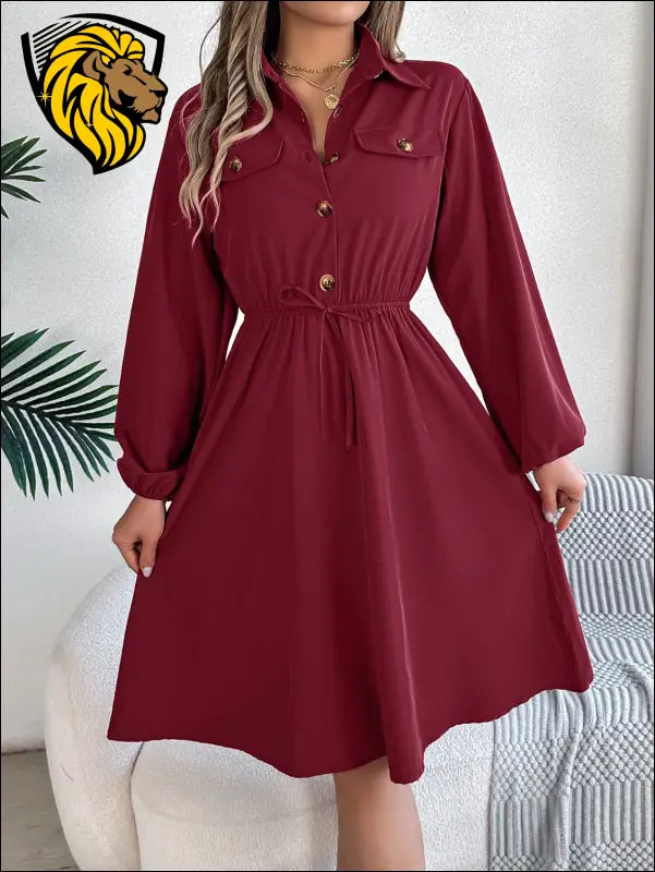 Collared Neck Long Sleeve Dress with Pockets