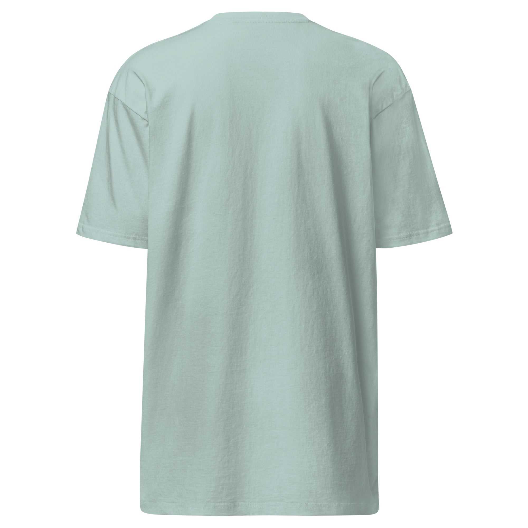 Light Blue Heavyweight T-Shirt - Unisex Back View | The One PR