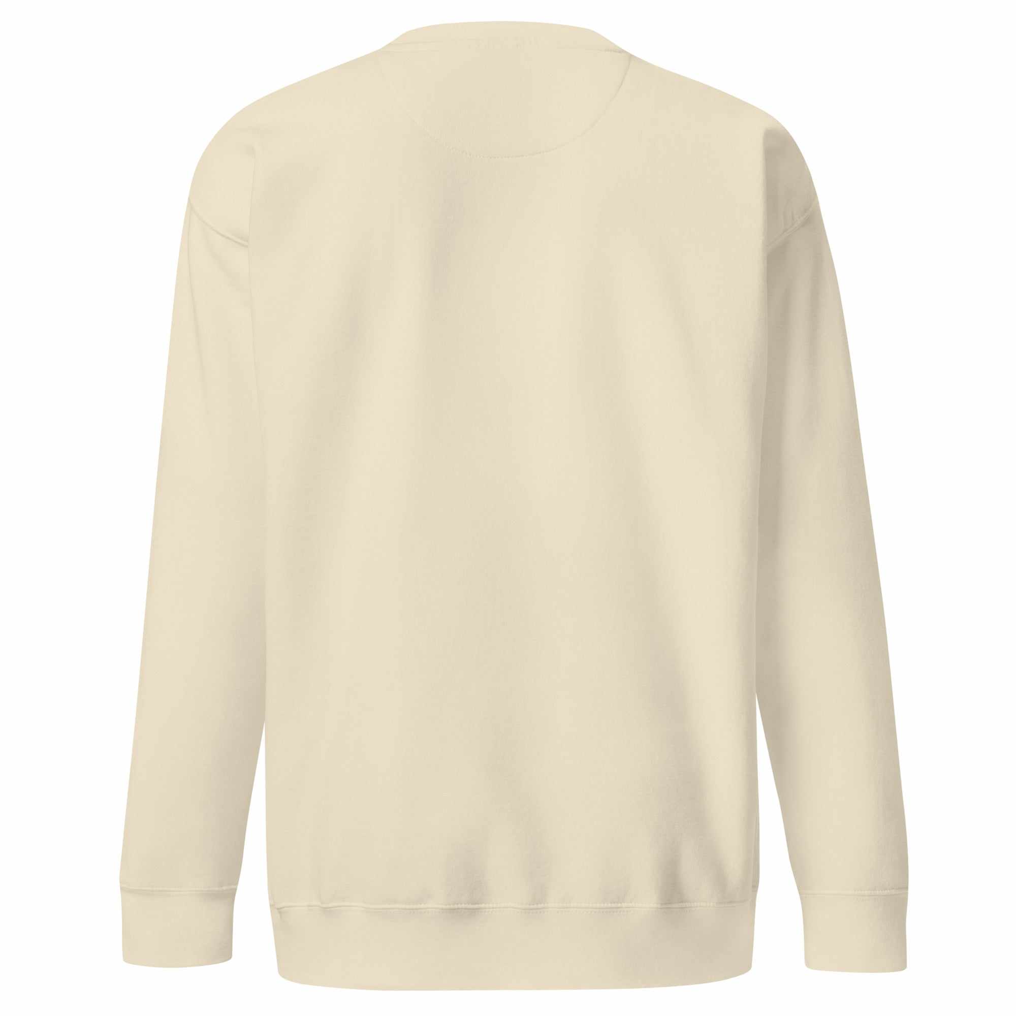 Beige Sweatshirt Back View | The One PR